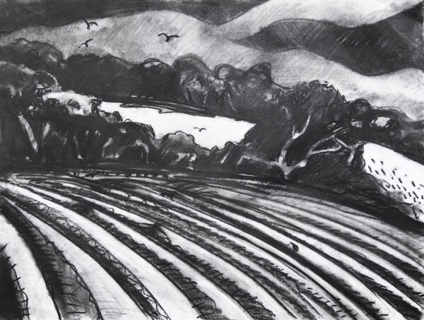 A1 sized charcoal landscape drawing of the fields around Chacewater in Cornwall