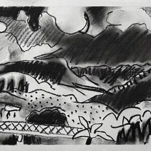 Bike Across The Bridge